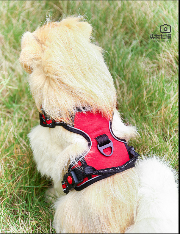 Hot Sale Dog Breast Strap Explosion-Proof Pet Hand Holding Rope Dog Vest Reflective Pet's Chest-Back Factory Direct Sales