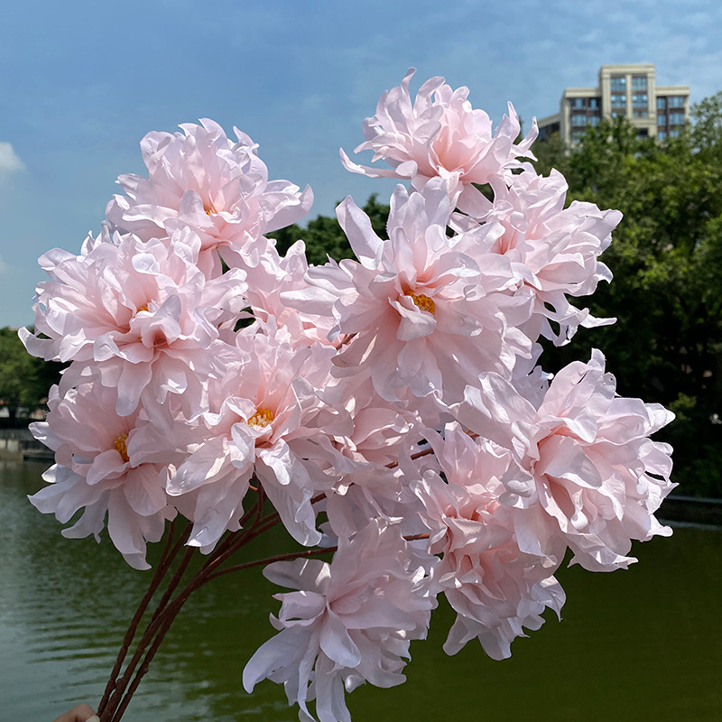 Multicolor Catalan Emulational Flower Decoration Living Room Vase Dining Table Ornamental Flower Wedding Flower Bridal Bouquet Wedding Decoration