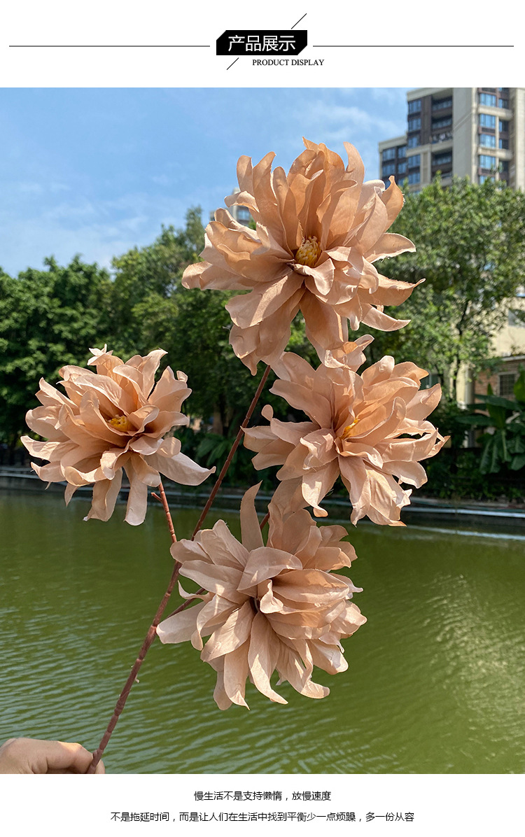 Multicolor Catalan Emulational Flower Decoration Living Room Vase Dining Table Ornamental Flower Wedding Flower Bridal Bouquet Wedding Decoration Multicolor Catalan Emulational Flower Decoration Living Room Vase Dining Table Ornamental Flower Wedding Flower Bridal Bouquet Wedding Decoration
