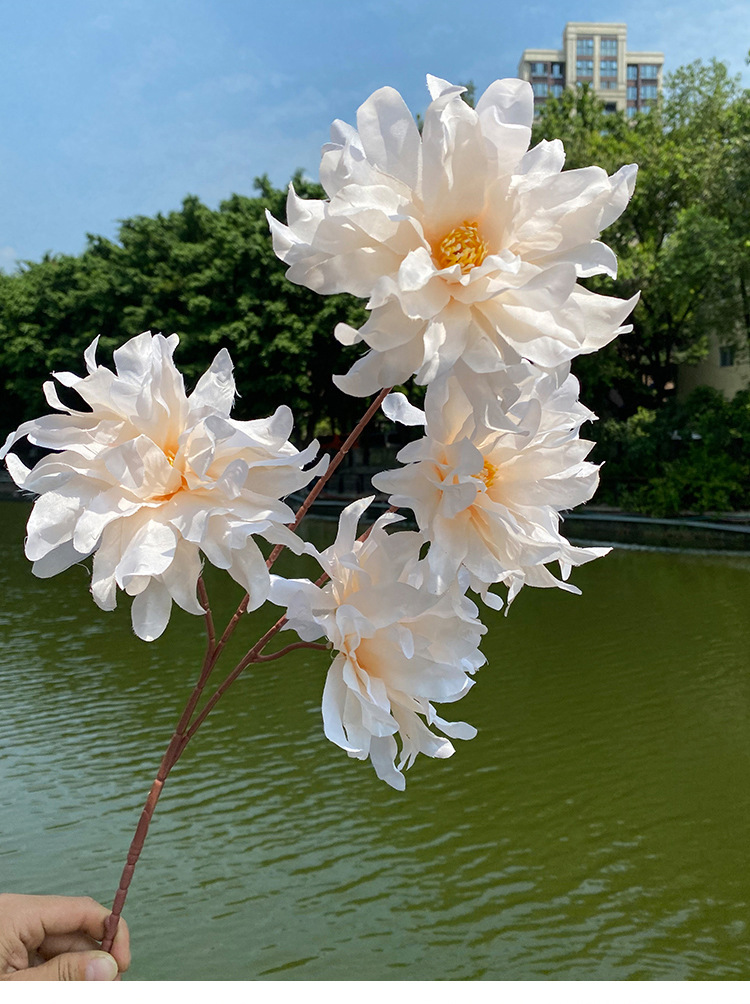 Multicolor Catalan Emulational Flower Decoration Living Room Vase Dining Table Ornamental Flower Wedding Flower Bridal Bouquet Wedding Decoration Multicolor Catalan Emulational Flower Decoration Living Room Vase Dining Table Ornamental Flower Wedding Flower Bridal Bouquet Wedding Decoration