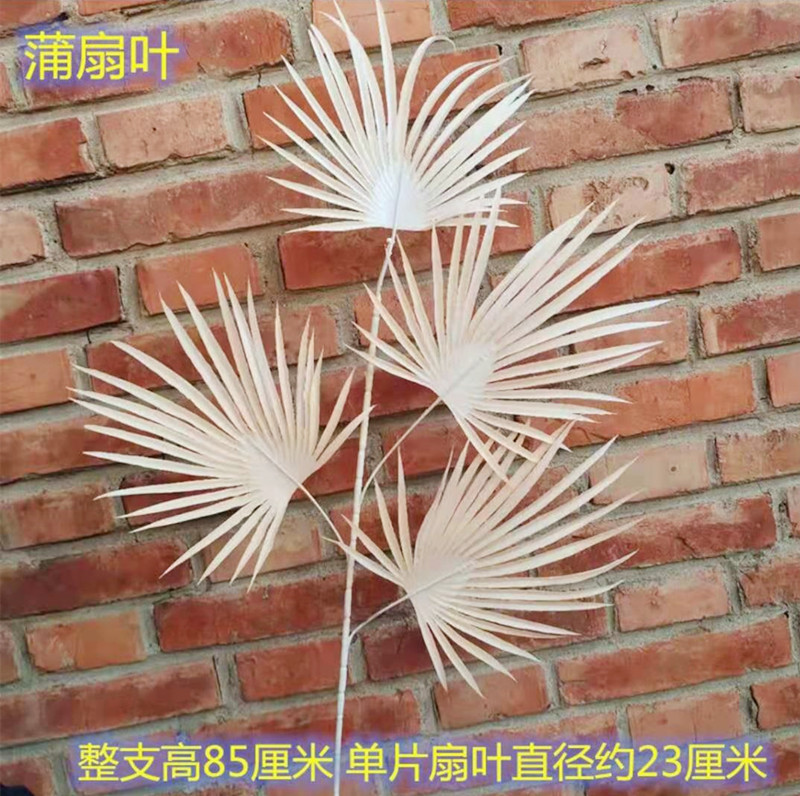 Wedding flower Hotel Wedding Hall Layout Ornamental Flower Wedding Flower Bouquet Flower Factory in Stock Batch Wedding flower Hotel Wedding Hall Layout Ornamental Flower Wedding Flower Bouquet Flower Factory in Stock Batch
