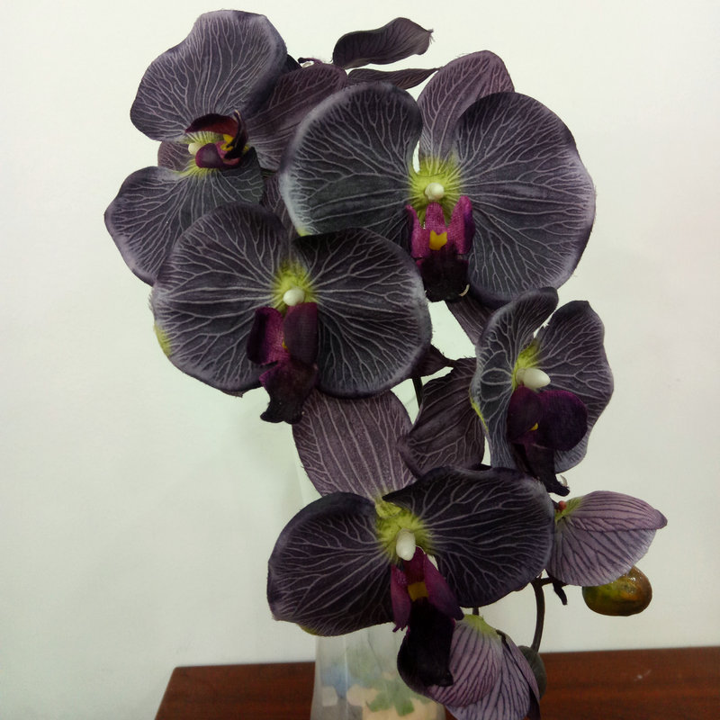 Raw Silk Autumn Phalaenopsis Wedding Celebration Decoration Decoration Plastic Crafts Phalaenopsis Artificial Flower