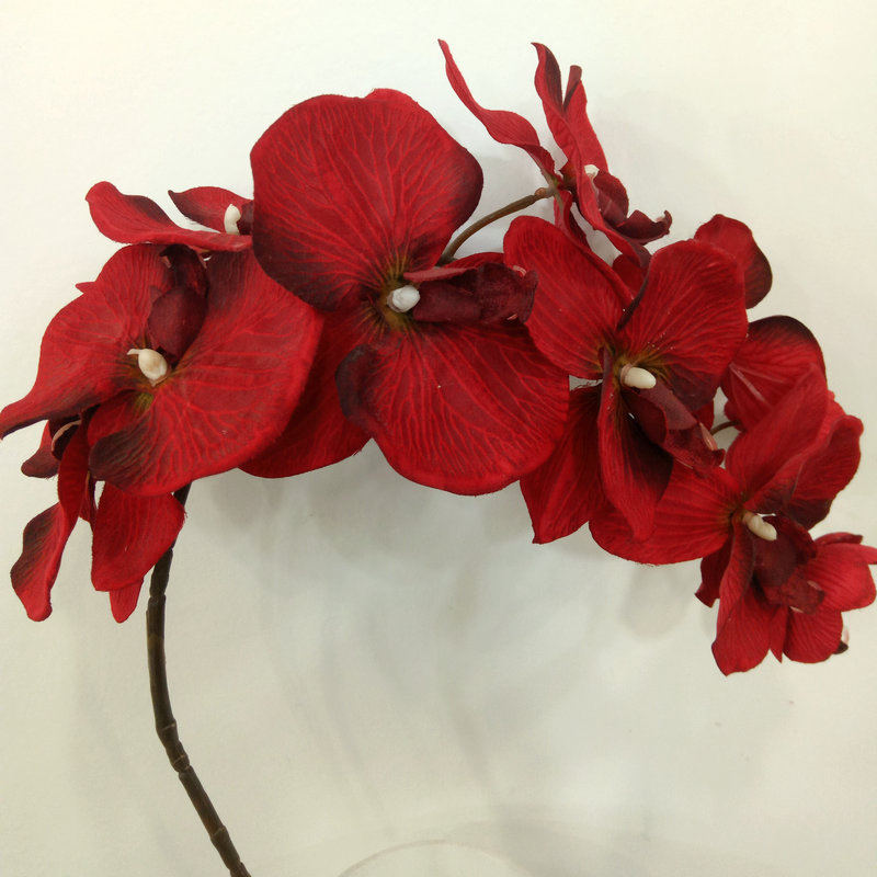 Raw Silk Autumn Phalaenopsis Wedding Celebration Decoration Decoration Plastic Crafts Phalaenopsis Artificial Flower