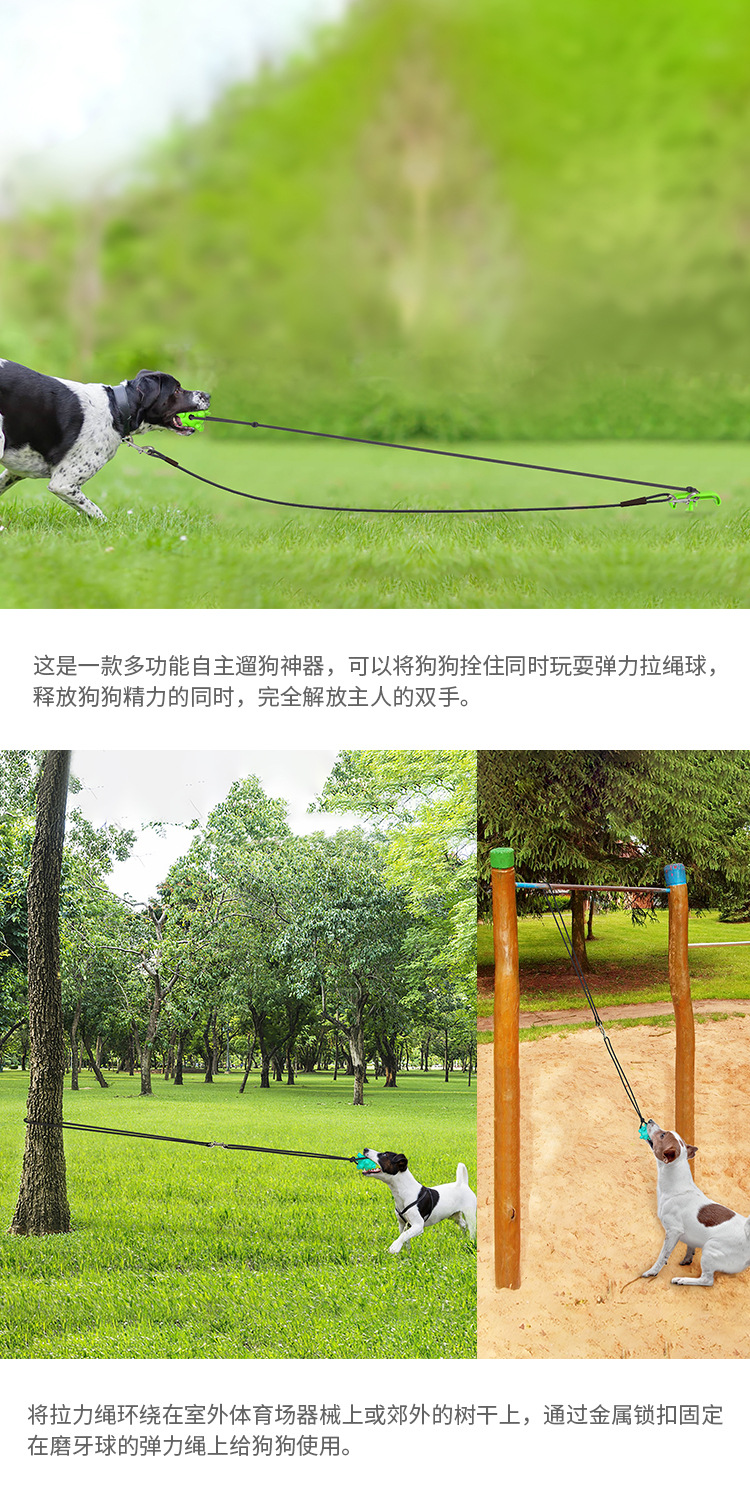 Pet Supplies New Amazon Hot Hot Selling Dog Tie Underpinning Stake Dog Walking Pet Sucker Dog Toy Pet Supplies New Amazon Hot Hot Selling Dog Tie Underpinning Stake Dog Walking Pet Sucker Dog Toy