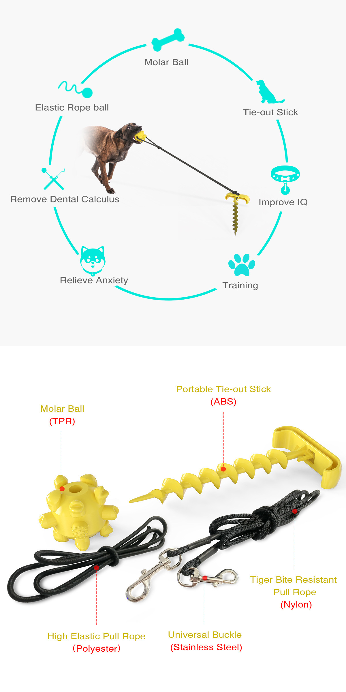 Pet Supplies New Amazon Hot Hot Sale Outdoor Bolt Dog Underpinning Stake Tie Dog Rope Leash Dog Walking Toy Pet Supplies New Amazon Hot Hot Sale Outdoor Bolt Dog Underpinning Stake Tie Dog Rope Leash Dog Walking Toy