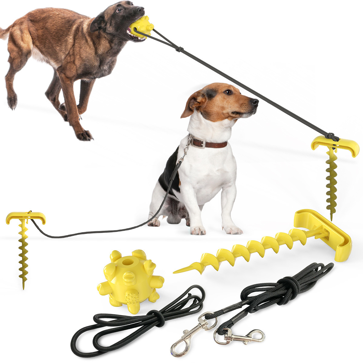 Pet Supplies New Amazon Hot Hot Sale Outdoor Bolt Dog Underpinning Stake Tie Dog Rope Leash Dog Walking Toy Pet Supplies New Amazon Hot Hot Sale Outdoor Bolt Dog Underpinning Stake Tie Dog Rope Leash Dog Walking Toy