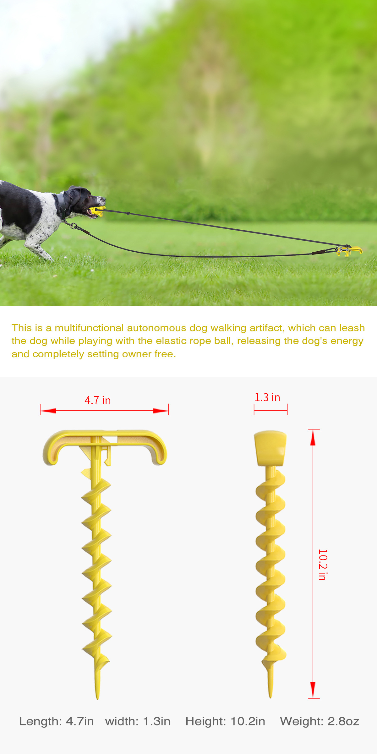 Pet Supplies New Amazon Hot Hot Sale Outdoor Bolt Dog Underpinning Stake Tie Dog Rope Leash Dog Walking Toy Pet Supplies New Amazon Hot Hot Sale Outdoor Bolt Dog Underpinning Stake Tie Dog Rope Leash Dog Walking Toy