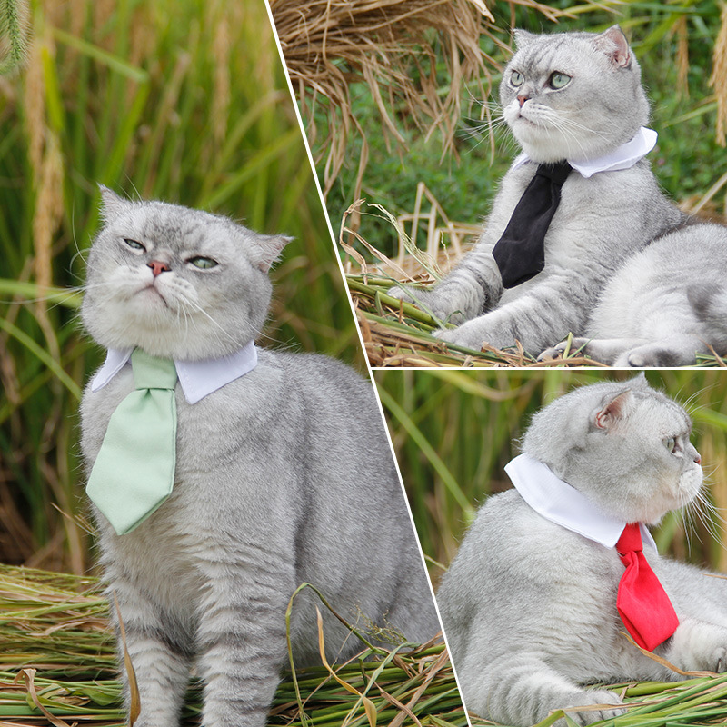 Jizai Pet Supplies Tie Wholesale Cute Pet Tie Striped Trendy Pet Four Seasons Cotton Dog Bow Tie