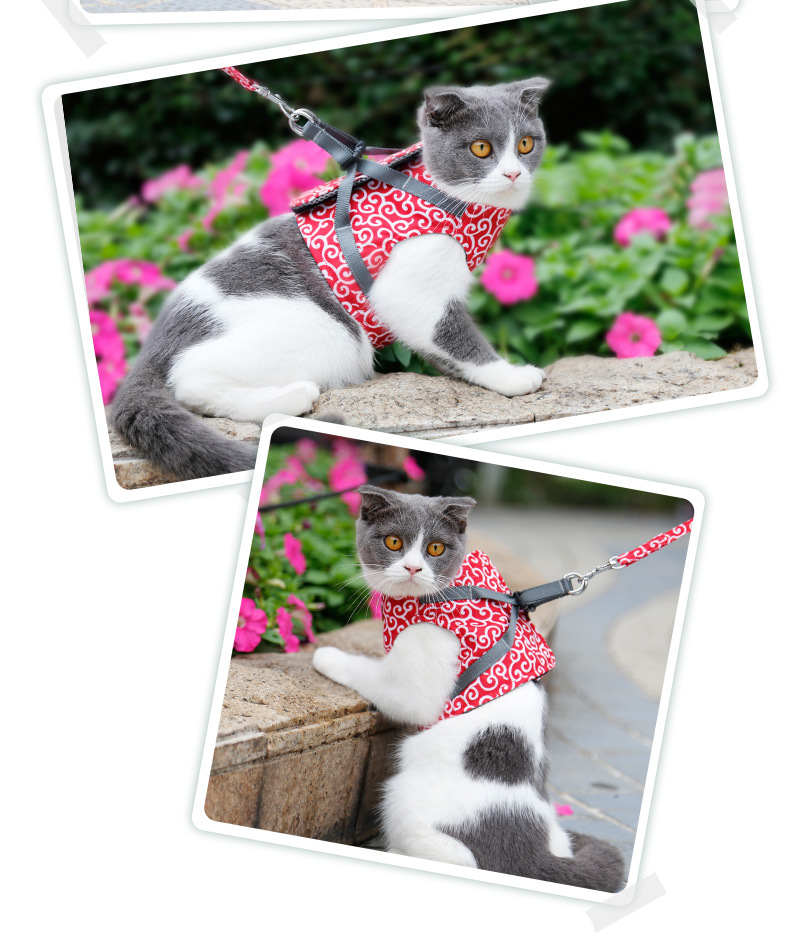 Cat Pulling Rope Chest Strap Cat Vest Clothes Japanese Style Anti Breaking Loose Tie Cat Dog Chain Cat Rope Cat Pulling Rope Chest Strap Cat Vest Clothes Japanese Style Anti Breaking Loose Tie Cat Dog Chain Cat Rope
