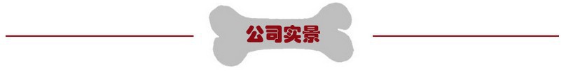 Cat Pulling Rope Chest Strap Cat Vest Clothes Japanese Style Anti Breaking Loose Tie Cat Dog Chain Cat Rope Cat Pulling Rope Chest Strap Cat Vest Clothes Japanese Style Anti Breaking Loose Tie Cat Dog Chain Cat Rope