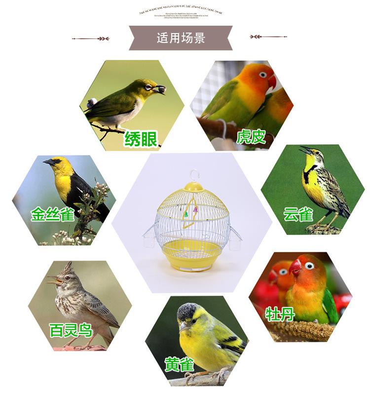 round Ball Bird Cage Household Ornamental Iron Wire Medium Bird Cage Bird Nest Oriental Cage Parrot Cage round Ball Bird Cage Household Ornamental Iron Wire Medium Bird Cage Bird Nest Oriental Cage Parrot Cage