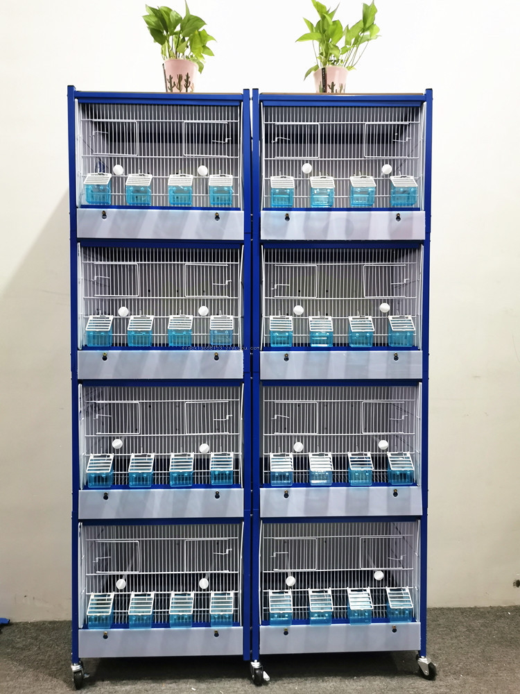 Free Shipping Export Free Pet Cage Bird Cage Parrot Cage Multi-Functional Free Combination Pet Cage Flying Cage Breeding Cage Free Shipping Export Free Pet Cage Bird Cage Parrot Cage Multi-Functional Free Combination Pet Cage Flying Cage Breeding Cage