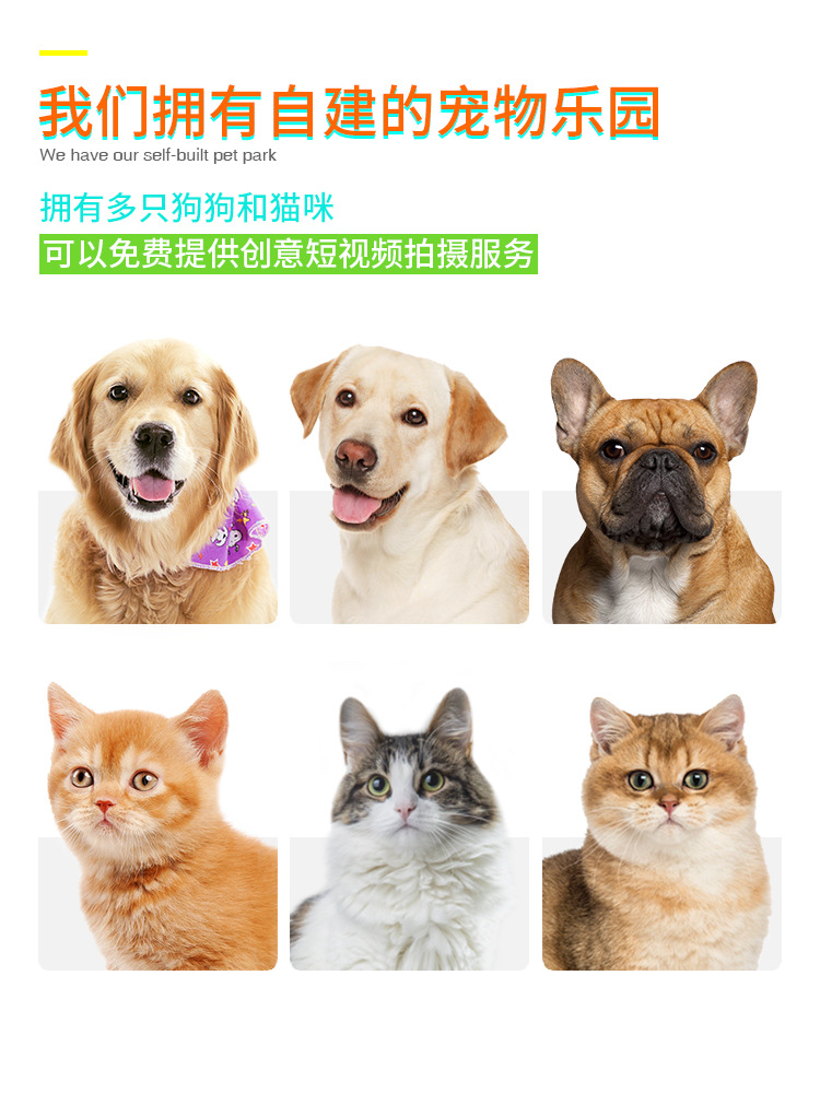 Pet Supplies Factory Wholesale Company Amazon New Popular Sound Bird Cage Funny Cat Tumbler Cat Toy