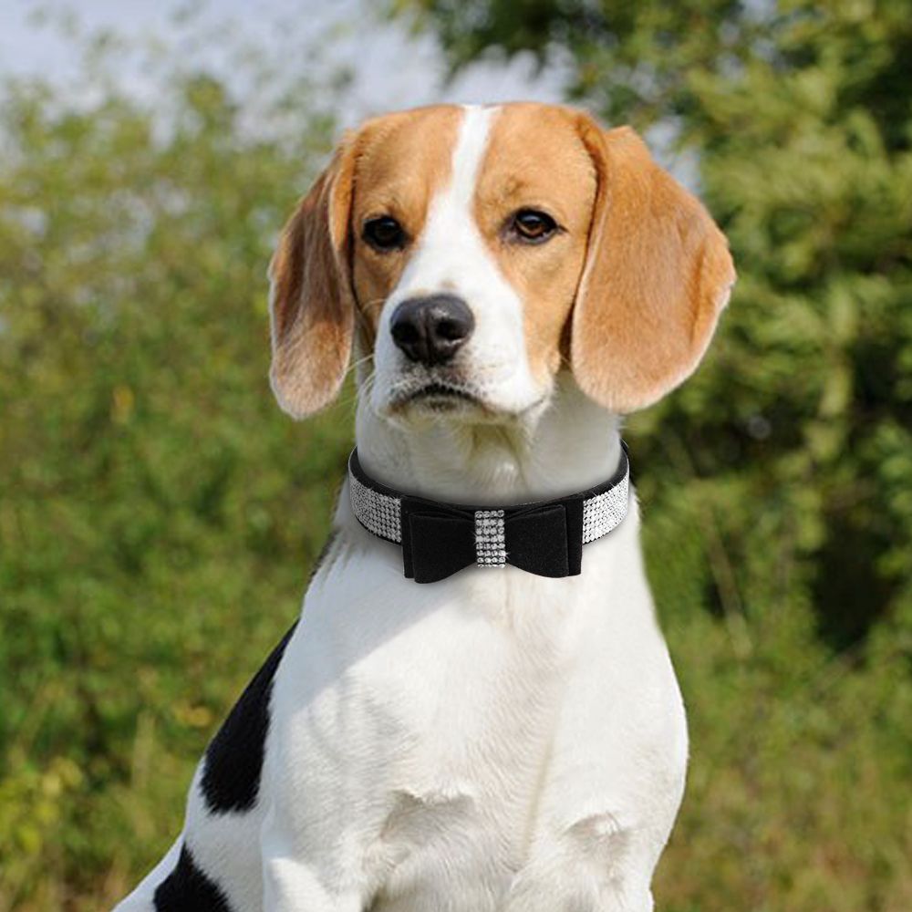 Manufacturers Popular Bow Hanging Bell Comfortable Pet Collar Double-Layer Bow Dog Collar Small and Medium-Sized Dogs Dog Leash Manufacturers Popular Bow Hanging Bell Comfortable Pet Collar Double-Layer Bow Dog Collar Small and Medium-Sized Dogs Dog Leash