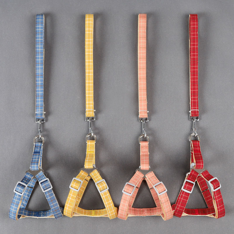 Collar Dog Hand Holding Rope Dog Small Dog Leash Cat Cat Rope Chain Dog Retractable Large Teddy Pet