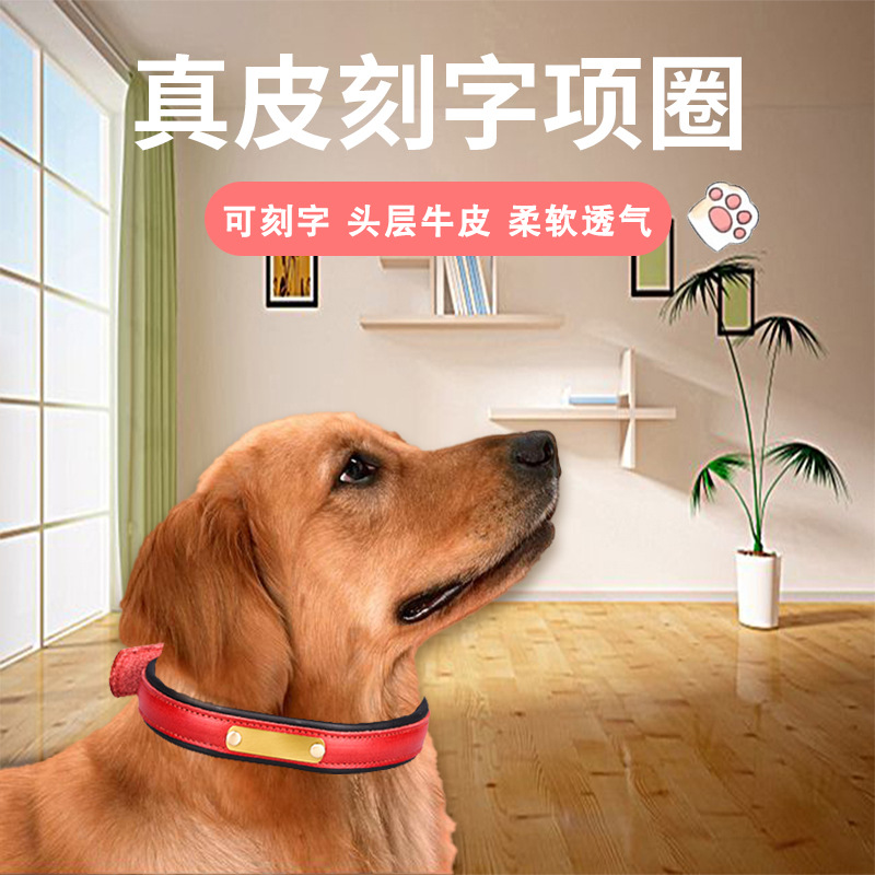 Top Layer Leather Pet Collar Stainless Steel Lettering Dog Collar Medium and Large Dog Leash Amazon Hot Sale
