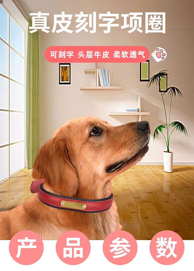 Top Layer Leather Pet Collar Stainless Steel Lettering Dog Collar Medium and Large Dog Leash Amazon Hot Sale Top Layer Leather Pet Collar Stainless Steel Lettering Dog Collar Medium and Large Dog Leash Amazon Hot Sale