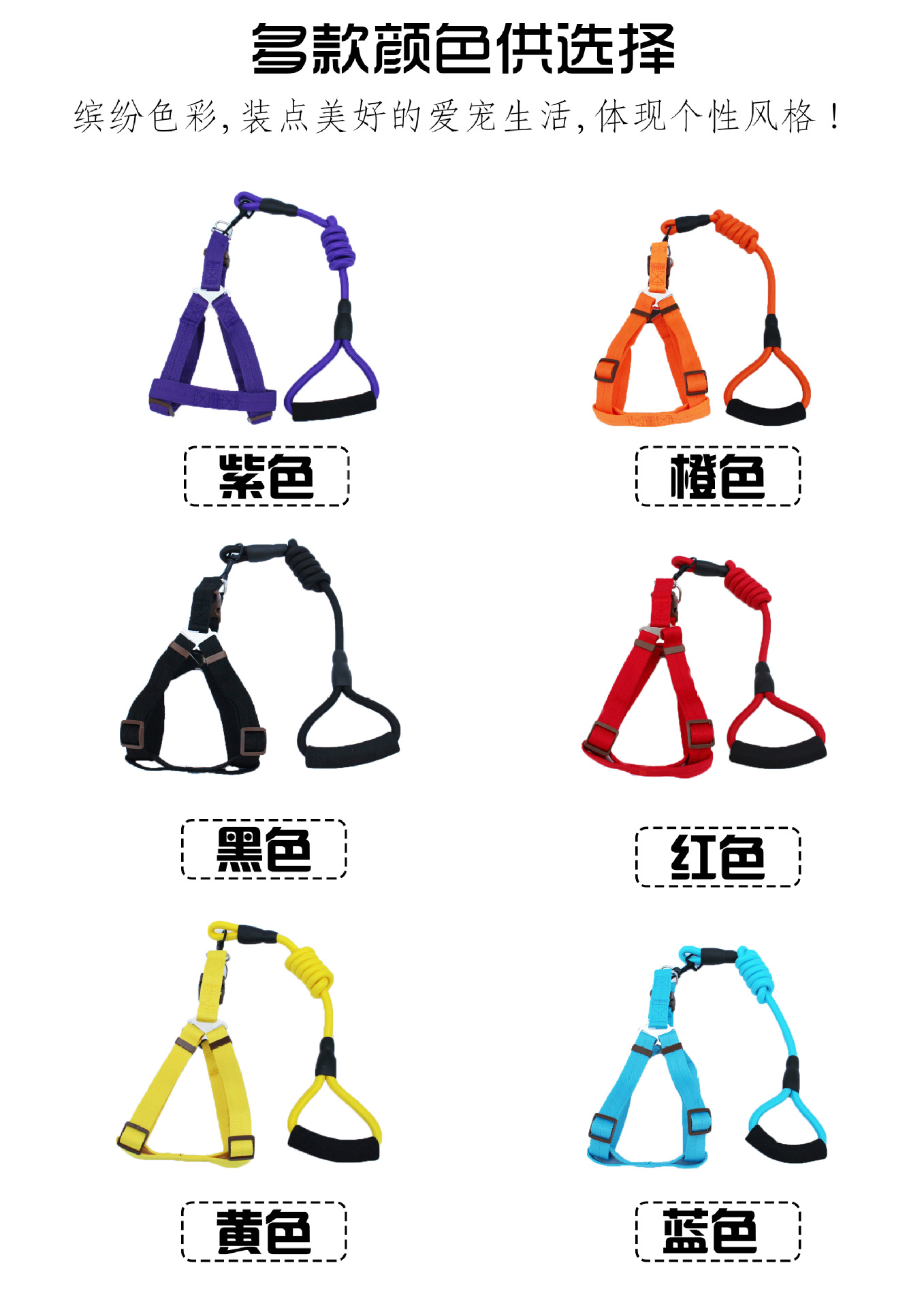 New Pet Hand Holding Rope Dog Traction Belt Cat Dog Rope Dog Chain round Rope Leash Set Collar Supplies New Pet Hand Holding Rope Dog Traction Belt Cat Dog Rope Dog Chain round Rope Leash Set Collar Supplies