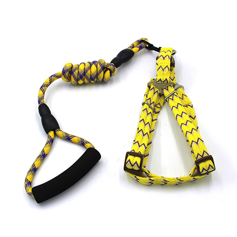 New Pet Hand Holding Rope Dog Traction Belt Cat Dog Rope Dog Chain round Rope Leash Set Collar Supplies New Pet Hand Holding Rope Dog Traction Belt Cat Dog Rope Dog Chain round Rope Leash Set Collar Supplies