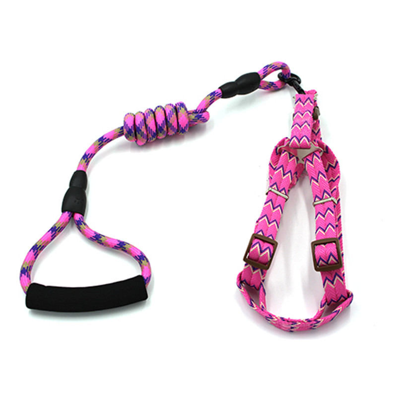 New Pet Hand Holding Rope Dog Traction Belt Cat Dog Rope Dog Chain round Rope Leash Set Collar Supplies New Pet Hand Holding Rope Dog Traction Belt Cat Dog Rope Dog Chain round Rope Leash Set Collar Supplies