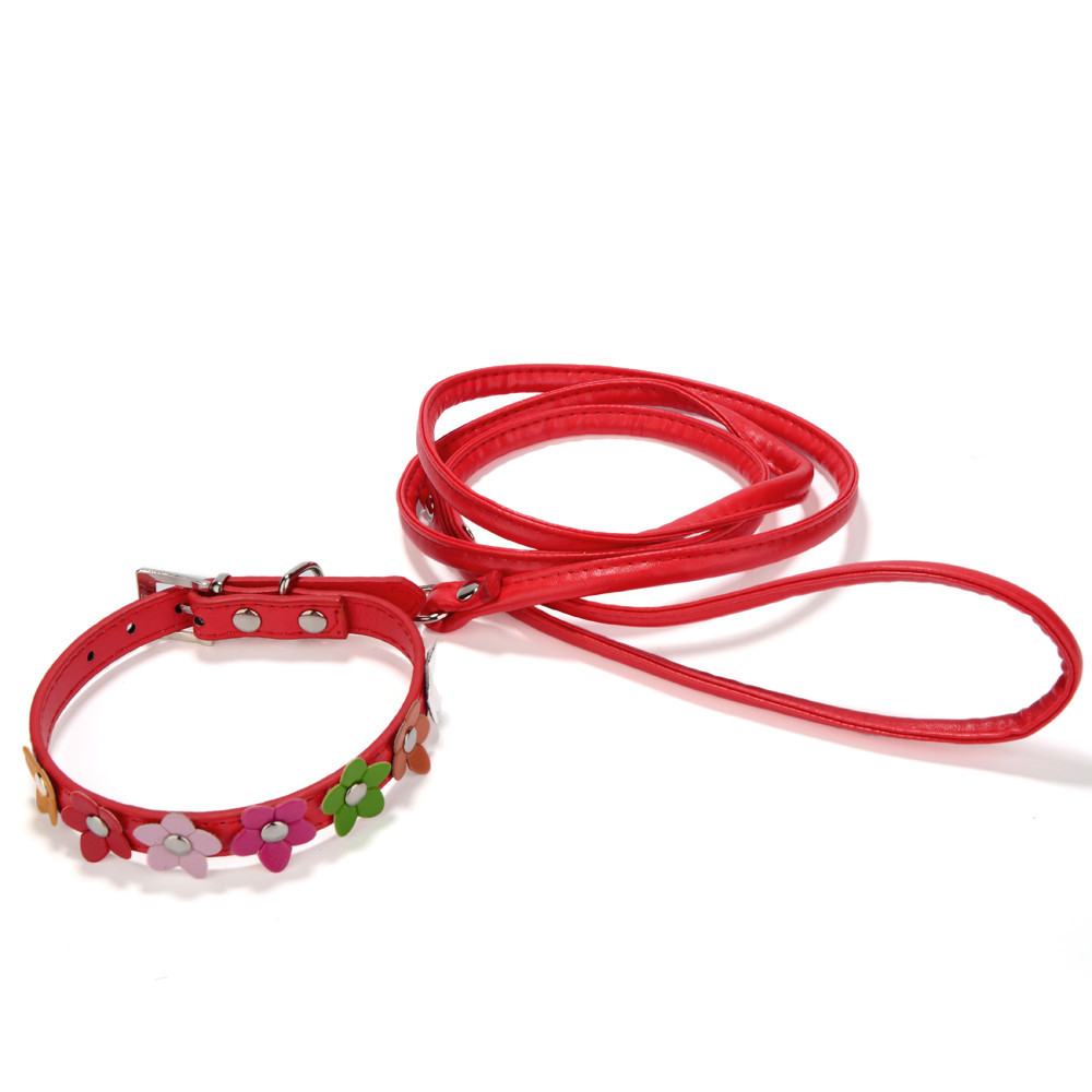 Berry Hot Sale Single Row Small Flower Pet Collar Colorful Flowers Dog Collar SUNFLOWERPUDog leash