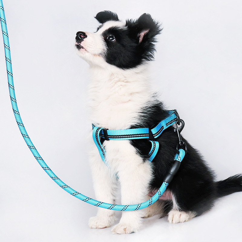 Amazon Hot Nylon Reflective Pet Hand Holding Rope Dog Chain Light-Reflecting Pet Collar Dog Leash Pet Supplies Amazon Hot Nylon Reflective Pet Hand Holding Rope Dog Chain Light-Reflecting Pet Collar Dog Leash Pet Supplies