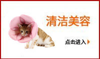 Pet Nest Factory Jizzi Dutch Pig Guinea Pig Cotton Pet Nest Chihuahua Kennel Rabbit Mini Small Pet Nest
