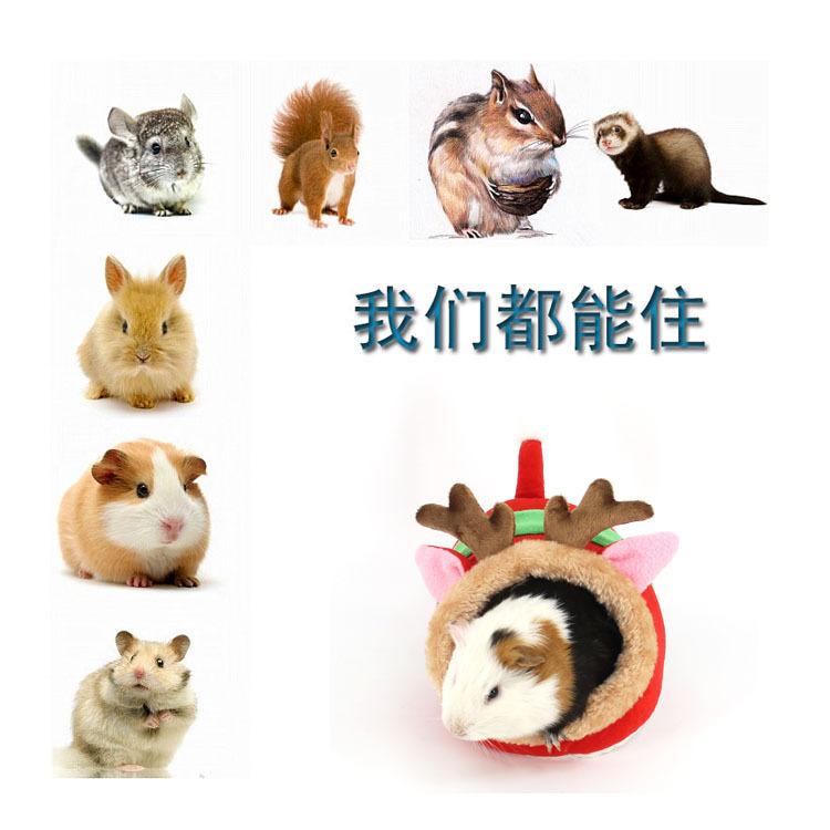 Zhen Pet Bed Factory Sugar Glider Nest Rabbit Cotton Pet Nest Kennel Winter Warm Mini Nest Cage Jizai Hamster Nest