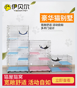 Pet Flight Case Pet Check-in Suitcase Cat Dog Space Box Multi-Model Pet Air Box Factory Wholesale