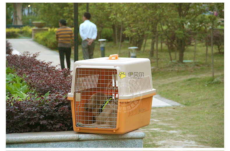 Pet Flight Case Pet Check-in Suitcase Cat Dog Space Box Multi-Model Pet Air Box Factory Wholesale