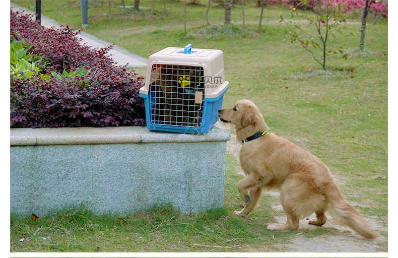 Pet Flight Case Pet Check-in Suitcase Cat Dog Space Box Multi-Model Pet Air Box Factory Wholesale