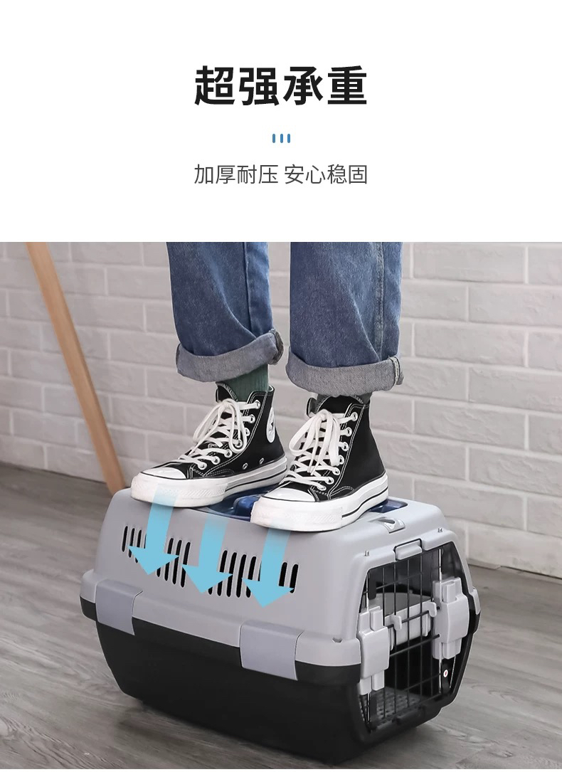 Flight Case Pet Plane Consignment Cat Small Dog Dog Cat Bag Cat Cage Portable Bag Air Transport Box out