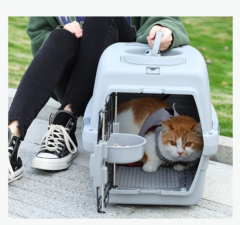 Flight Case Pet Plane Consignment Cat Small Dog Dog Cat Bag Cat Cage Portable Bag Air Transport Box out