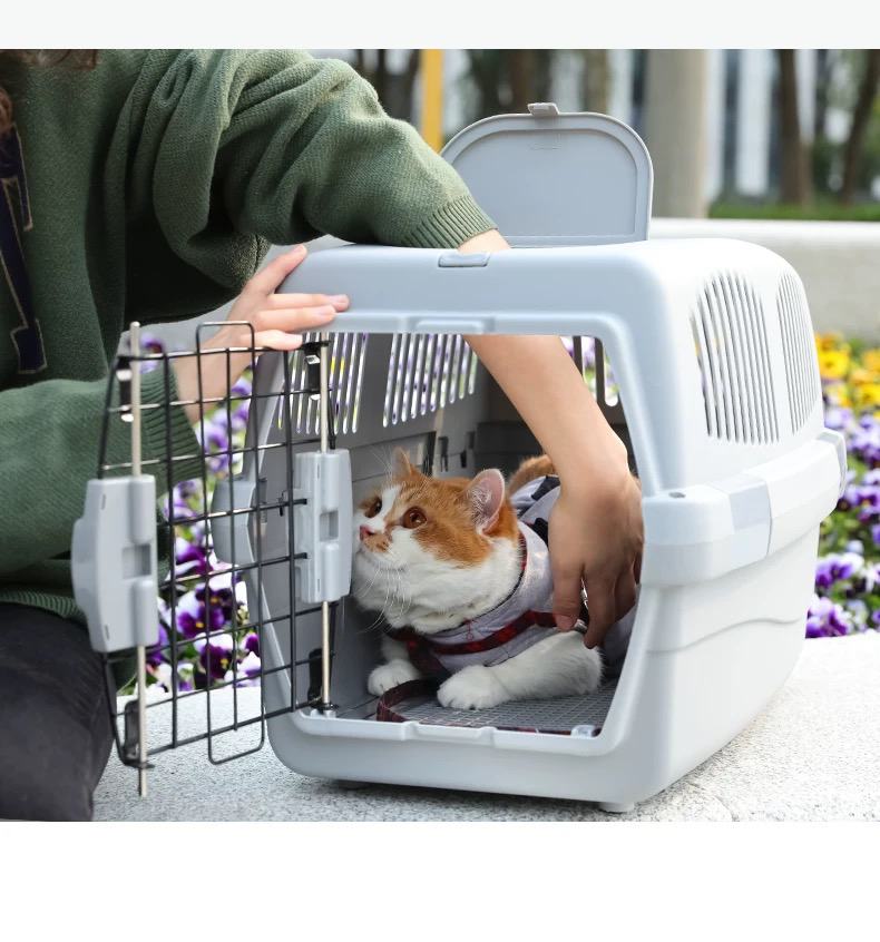 Flight Case Pet Plane Consignment Cat Small Dog Dog Cat Bag Cat Cage Portable Bag Air Transport Box out