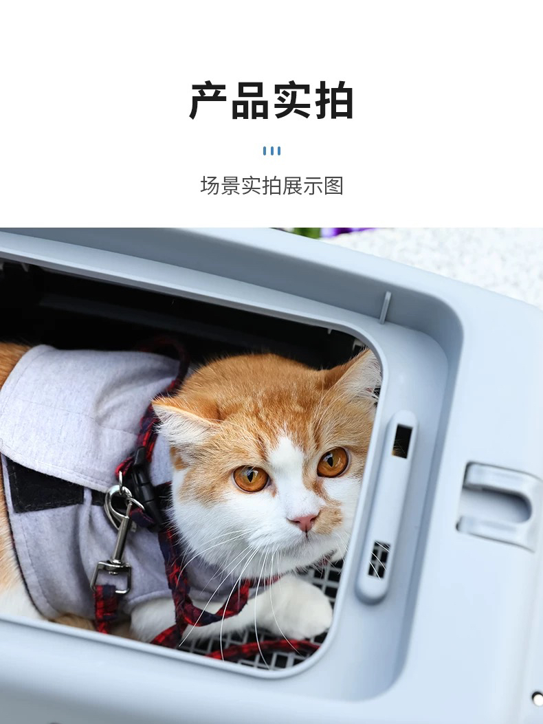 Flight Case Pet Plane Consignment Cat Small Dog Dog Cat Bag Cat Cage Portable Bag Air Transport Box out