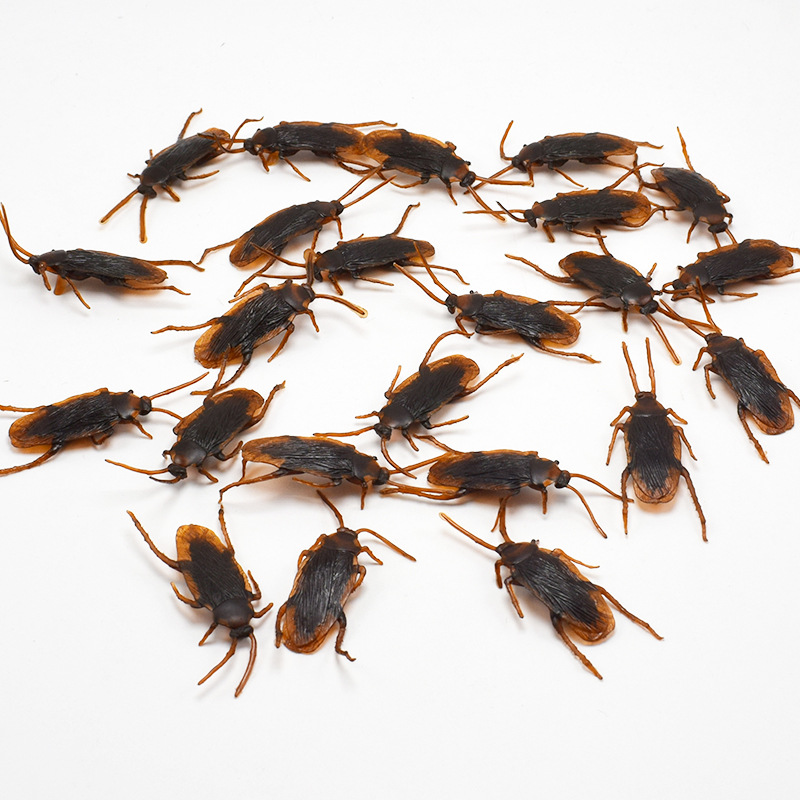 April Fool's Day Simulation Cockroach Xiaoqiang Trick Funny Disgusting Scary Toy Prank Props from AliExpress
