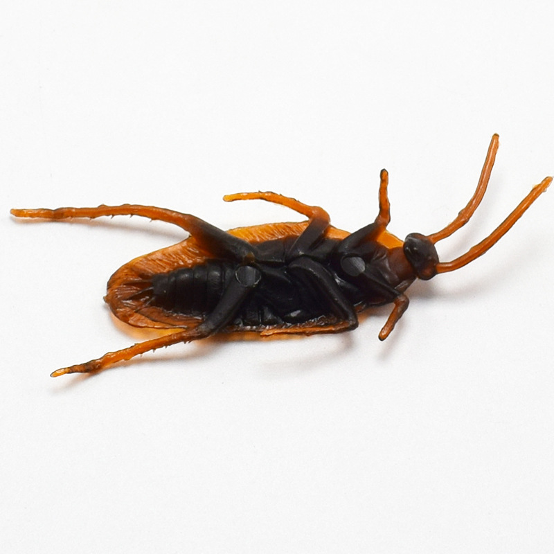 April Fool&#039;s Day Simulation Cockroach Xiaoqiang Trick Funny Disgusting Scary Toy Prank Props from AliExpress