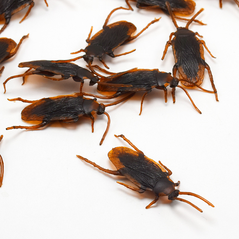 April Fool's Day Simulation Cockroach Xiaoqiang Trick Funny Disgusting Scary Toy Prank Props from AliExpress