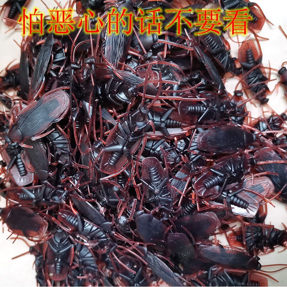 April Fool's Day Simulation Cockroach Xiaoqiang Trick Funny Disgusting Scary Toy Prank Props from AliExpress
