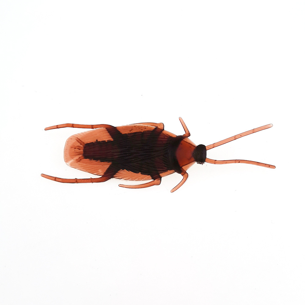 April Fool's Day Simulation Cockroach Xiaoqiang Trick Funny Disgusting Scary Toy Prank Props from AliExpress
