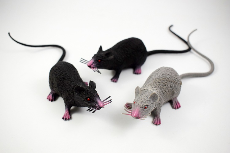 prank Toy New Exotic 22cmpvc Simulation Little Mouse Whole Toy Prank Toy Foreign Trade Hot Sale New Product