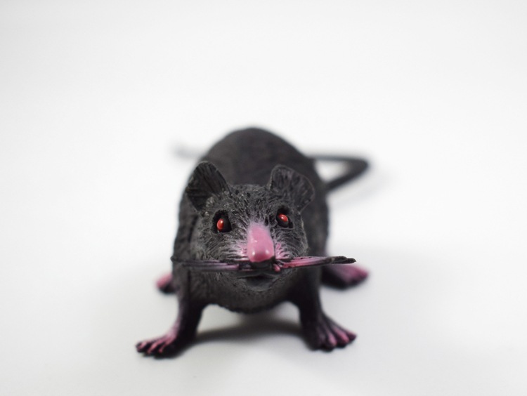 prank Toy New Exotic 22cmpvc Simulation Little Mouse Whole Toy Prank Toy Foreign Trade Hot Sale New Product