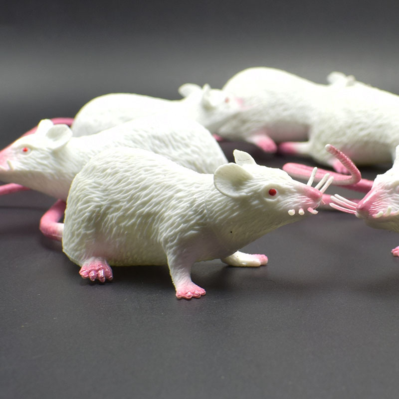 prank Toy New Exotic 22cmpvc Simulation Little Mouse Whole Toy Prank Toy Foreign Trade Hot Sale New Product