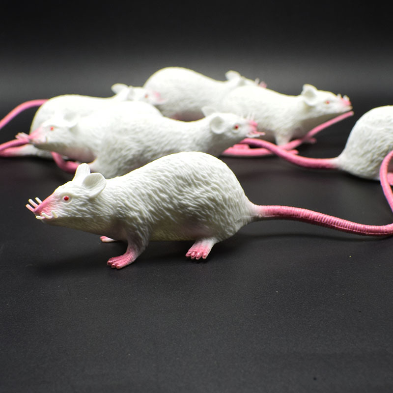 prank Toy New Exotic 22cmpvc Simulation Little Mouse Whole Toy Prank Toy Foreign Trade Hot Sale New Product
