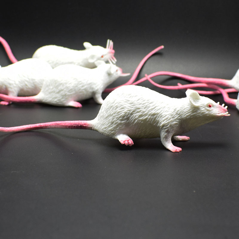 prank Toy New Exotic 22cmpvc Simulation Little Mouse Whole Toy Prank Toy Foreign Trade Hot Sale New Product