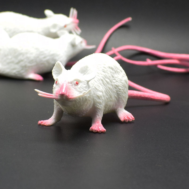 prank Toy New Exotic 22cmpvc Simulation Little Mouse Whole Toy Prank Toy Foreign Trade Hot Sale New Product