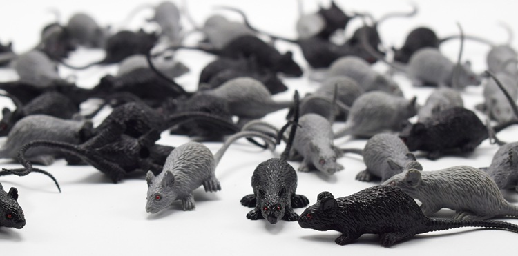 New Exotic Mini Little Mouse Kid Model Prank prank Toy