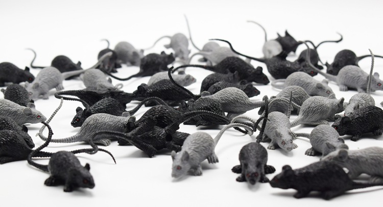 New Exotic Mini Little Mouse Kid Model Prank prank Toy