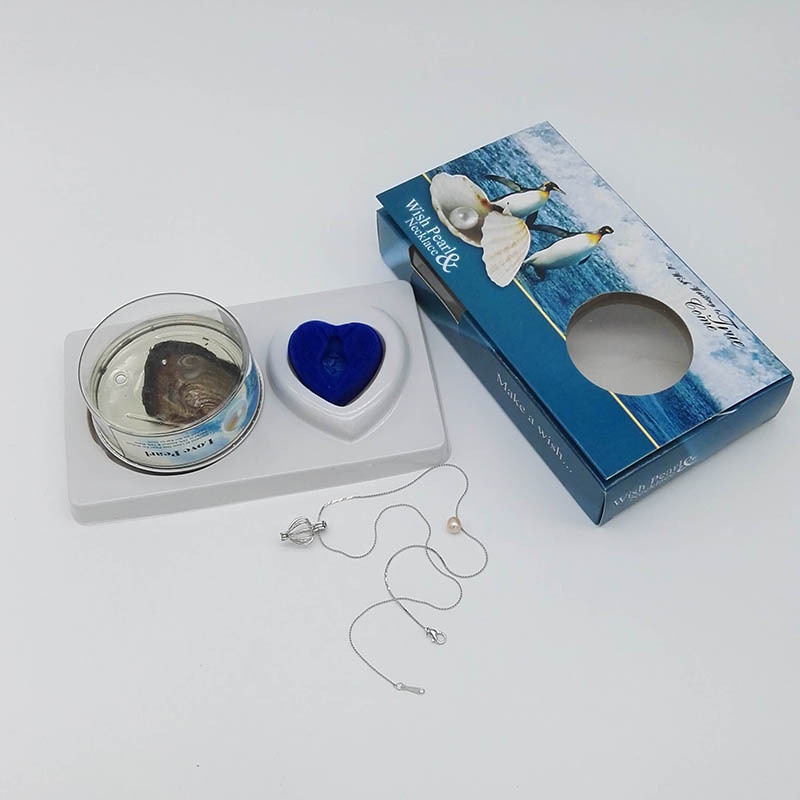 DIY Creative Necklace Ornament Gift Box Set Love Pearl Love Pearl Souvenir Birthday Holiday Gift DIY Creative Necklace Ornament Gift Box Set Love Pearl Love Pearl Souvenir Birthday Holiday Gift