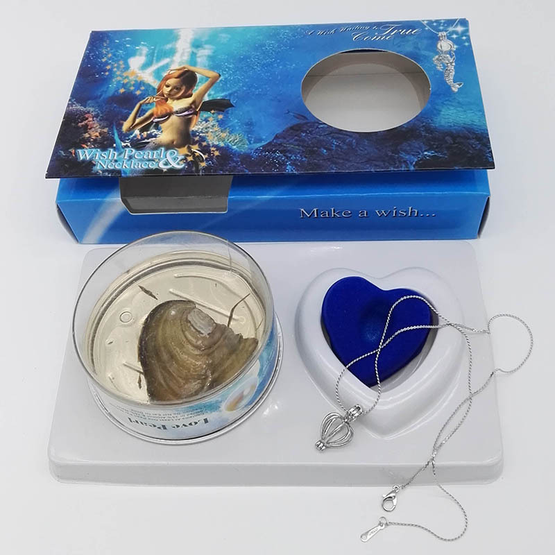 DIY Creative Necklace Ornament Gift Box Set Love Pearl Love Pearl Souvenir Birthday Holiday Gift DIY Creative Necklace Ornament Gift Box Set Love Pearl Love Pearl Souvenir Birthday Holiday Gift